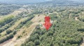 Продава ПАРЦЕЛ, с. Долище, област Варна, снимка 5