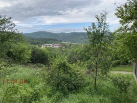 ����� ������� ������,�. ��������, ������ �����