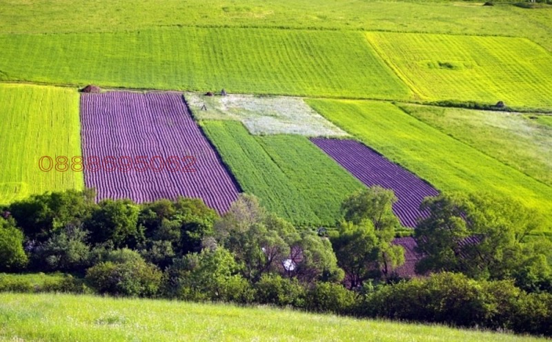 Продава ЗЕМЕДЕЛСКА ЗЕМЯ, с. Коритен, област Добрич