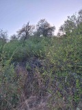 Продава ПАРЦЕЛ, с. Подгорие, област София област, снимка 4