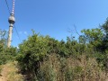 Продава ПАРЦЕЛ, град Русе, в.з. Левента • 15900 € / 31097.70 лв. • 38318843 2