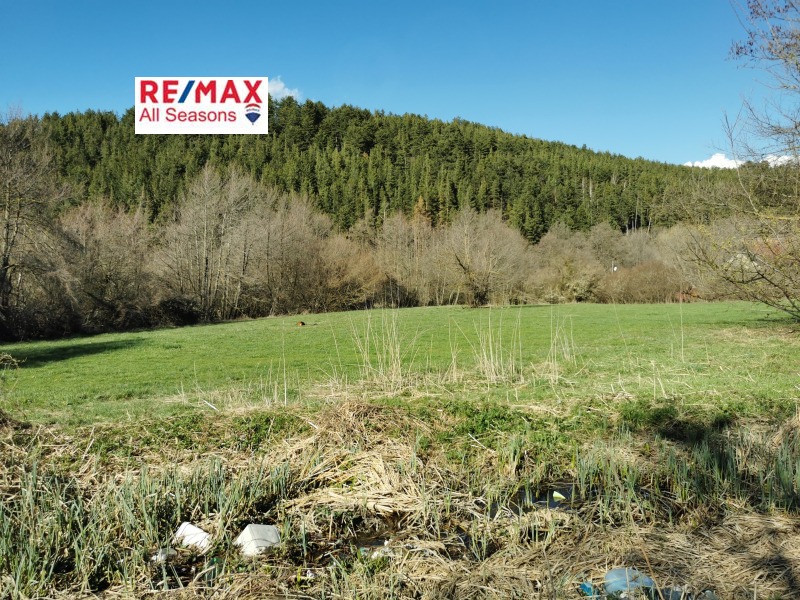 Продава ПАРЦЕЛ в област Благоевград, гр. Разлог - 5000 кв.м / 99 500 € » 194 605.09 лв., РЕМАКС ОЛ СИЙЗЪНС