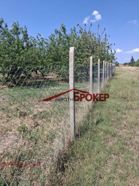 ������� ���� | Imot.bg � ����� ������ 11