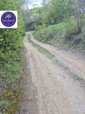 Trama Lozen, Sofia 8