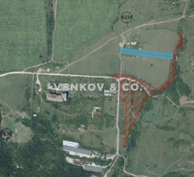 ����� ������� ������,���� �����, �. �����