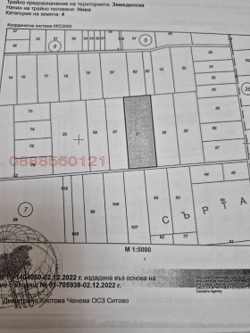 ����� ������� ���������� ����,�. �����, ������ ��������