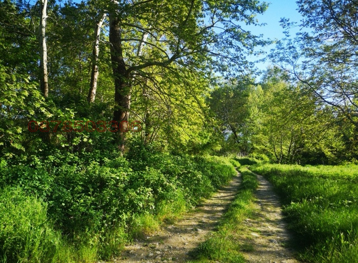 Продава ПАРЦЕЛ, с. Лешница, област Благоевград, снимка 4 - Парцели - 53342143