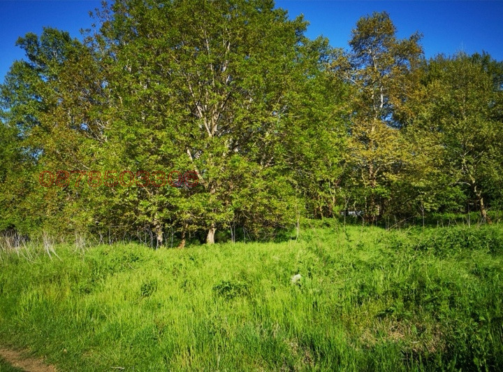 Продава ПАРЦЕЛ, с. Лешница, област Благоевград, снимка 5 - Парцели - 53342143