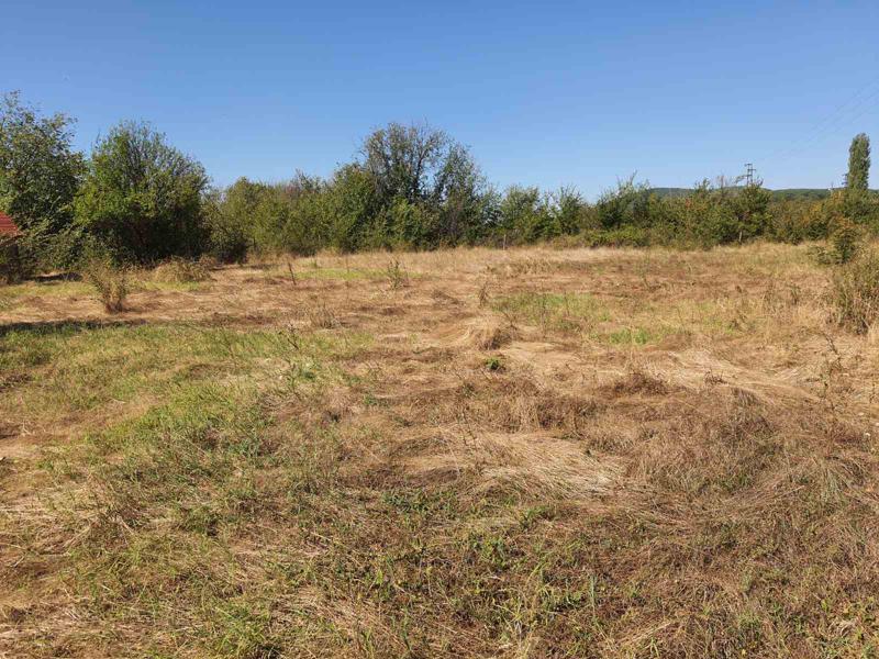 ������� ������ | Imot.bg � ����������� 5