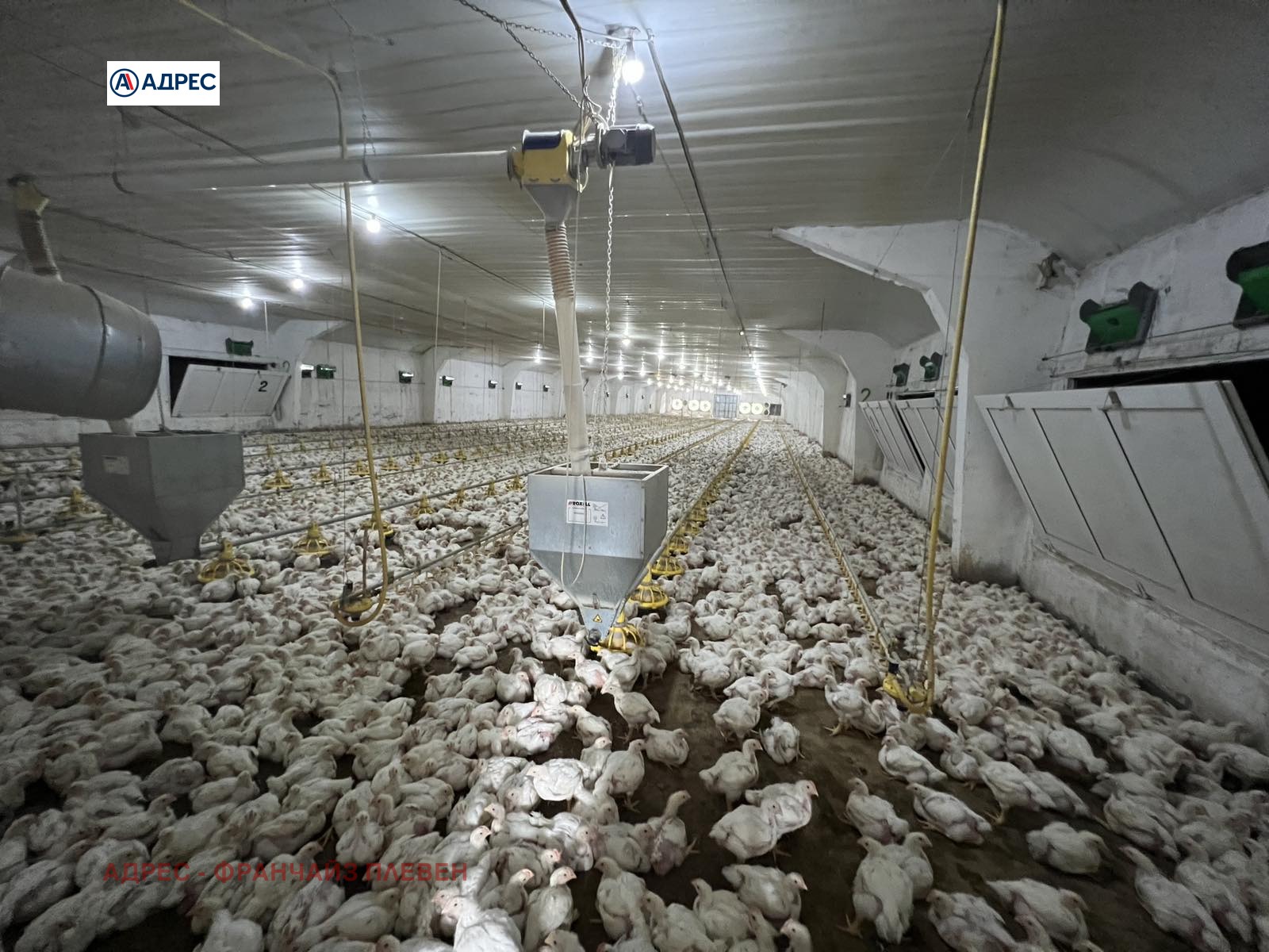 Продава ФЕРМА | Imot.bg — изображение 7