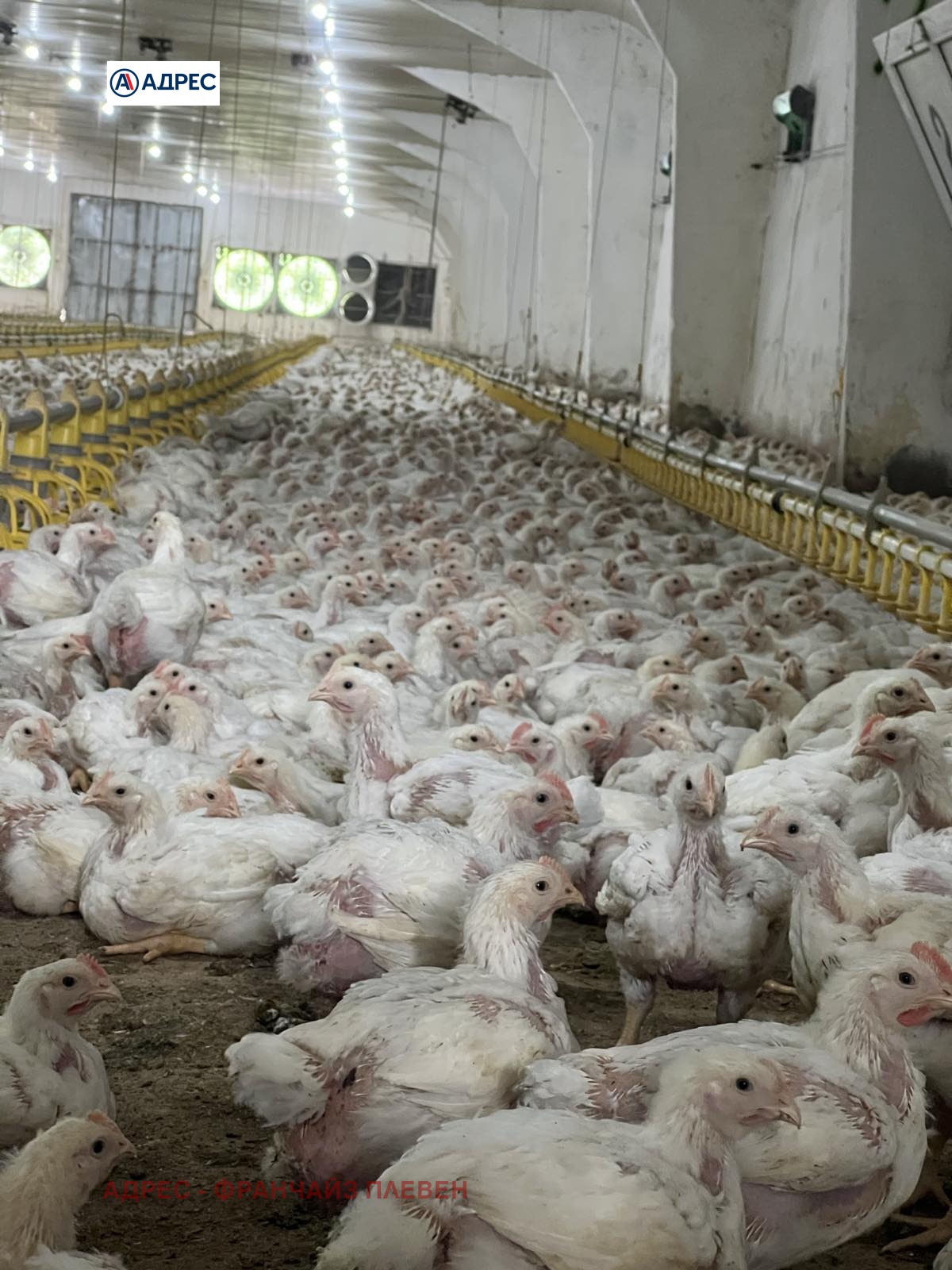 Продава ФЕРМА | Imot.bg — изображение 6