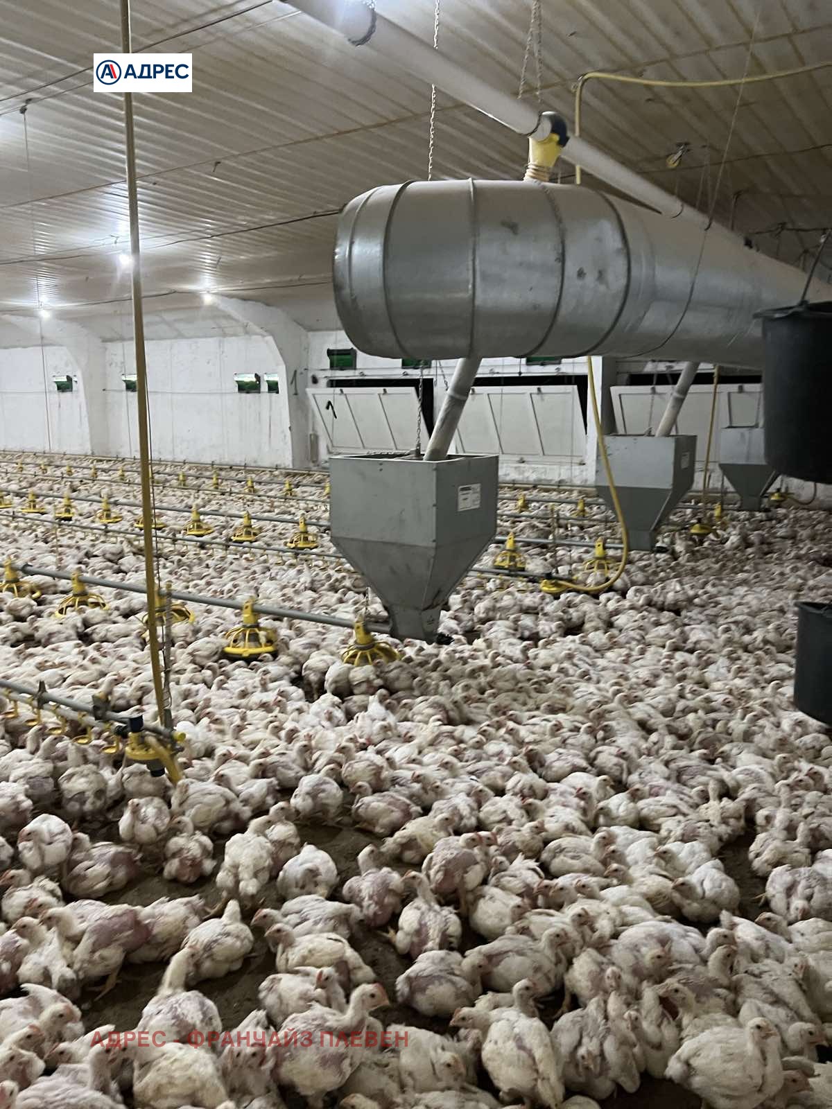 Продава ФЕРМА | Imot.bg — изображение 8