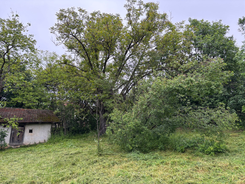 Til salgs  Hus region Lovech , Jablanitsa , 54 kvm | 93436913 - bilde [4]