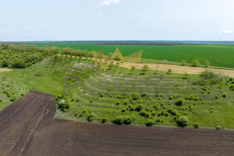 Zu verkaufen  Land region Dobritsch , Telerig , 20 dka | 61727349