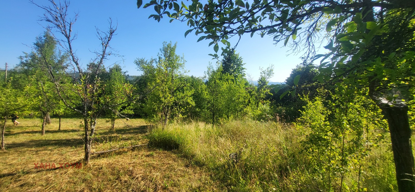 Продава КЪЩА, с. Белиш, област Ловеч, снимка 16 - Къщи - 54163928