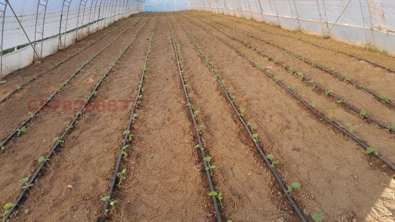 Продава ЗЕМЕДЕЛСКА ЗЕМЯ, с. Руец, област Търговище, снимка 4 - Земеделска земя - 52785861