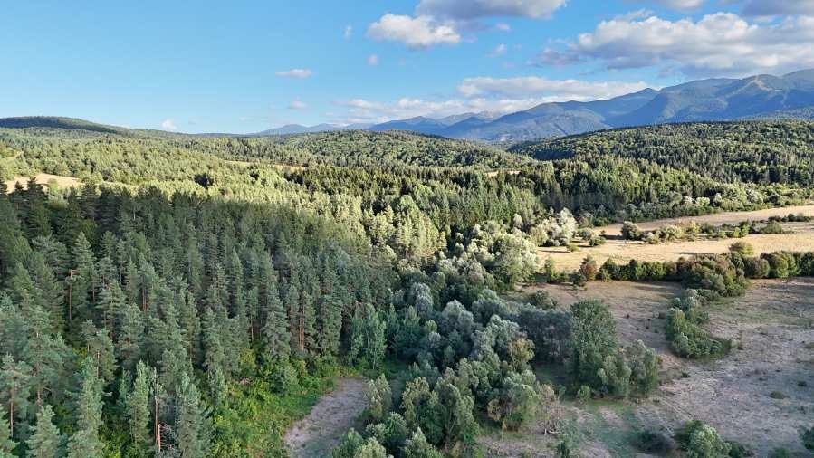 Продава ПАРЦЕЛ, гр. Самоков, област София област, снимка 2 - Парцели - 55937281