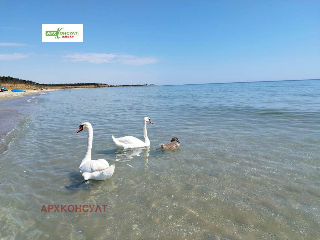 Продава ПАРЦЕЛ, с. Езерец, област Добрич, снимка 4 - Парцели - 54818437