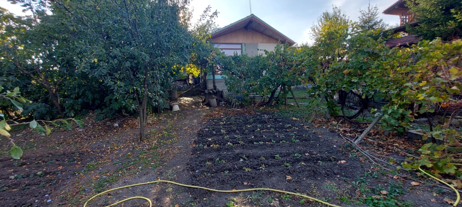 ������� ���� | Imot.bg � ����������� 1