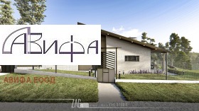 ������ ������� ����