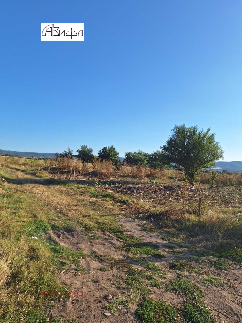 Продава ПАРЦЕЛ в област София, с. Лесново - 3992 кв.м / 147 000 € » 287 507.01 лв., АВИФА ЕООД