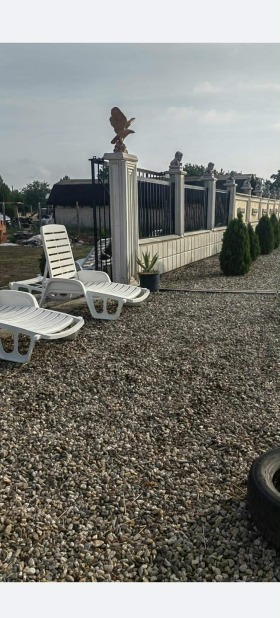 ����� ������� ������,�. ���������, ������ �������