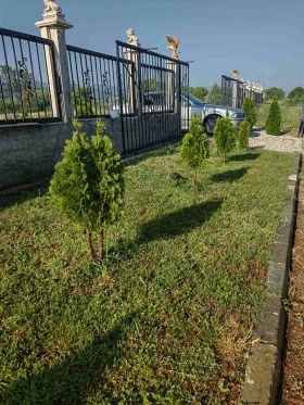 ������� ������ | Imot.bg � ����� ������ 5