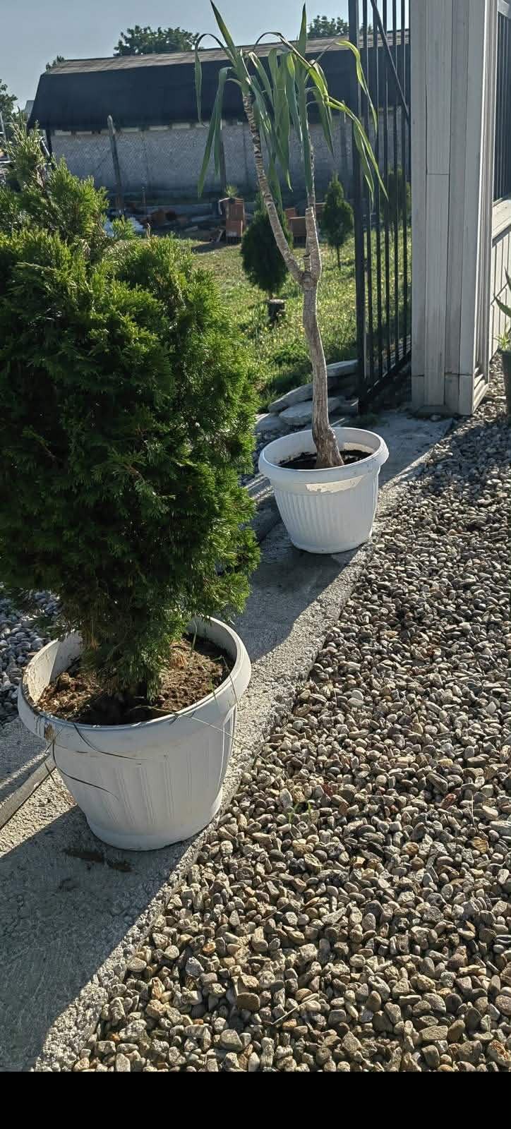 Продава ПАРЦЕЛ, с. Златитрап, област Пловдив, снимка 7 - Парцели - 52812548