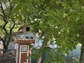 Продава КЪЩА, гр. Разград, Промишлена зона - Запад, снимка 2