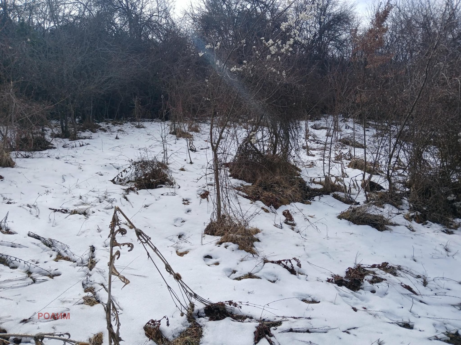 ������� ���� | Imot.bg � ����������� 16