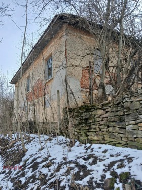 ����� ������� ����,�. ����������, ������ �������