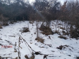 ������� ���� | Imot.bg � ����� ������ 16