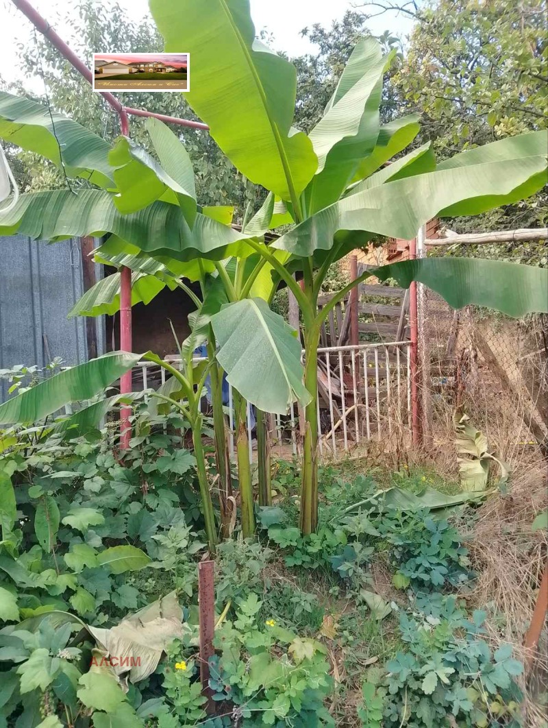 À venda  Casa região Sófia , Ihtiman , 115 m² | 34653157 - imagem [13]
