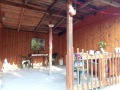 Продава КЪЩА, област Перник, с. Ребро • 45000 € • 85149288 — Holmes.bg