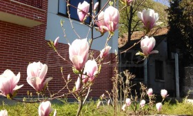 ������� ���� | Imot.bg � ����� ������ 2