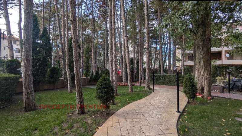 Продава ОФИС, к.к. Слънчев бряг, област Бургас, снимка 4 - Офиси - 52228245