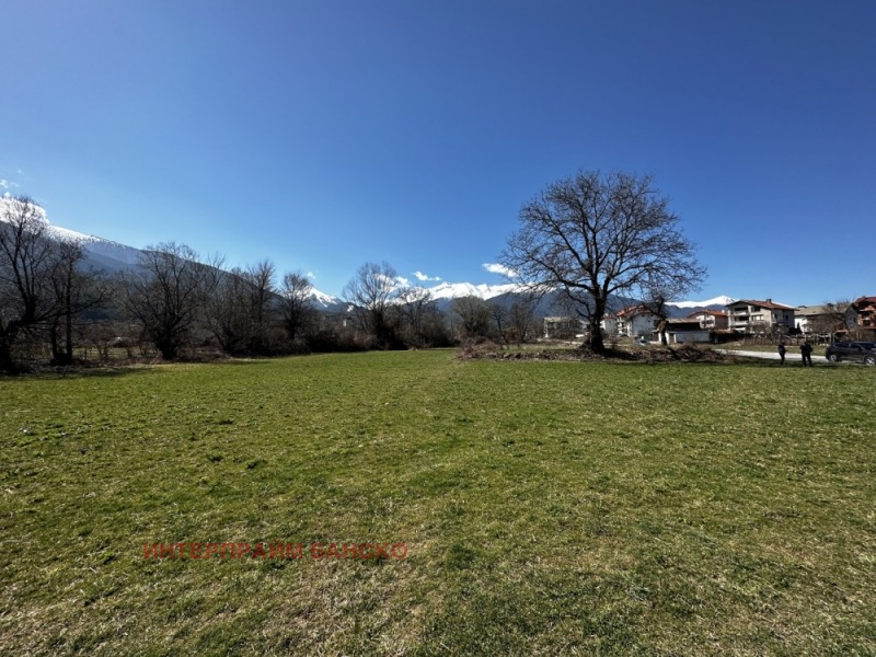 À vendre  Parcelle région Blagoevgrad , Bansko , 2982 m² | 20003526 - image [5]