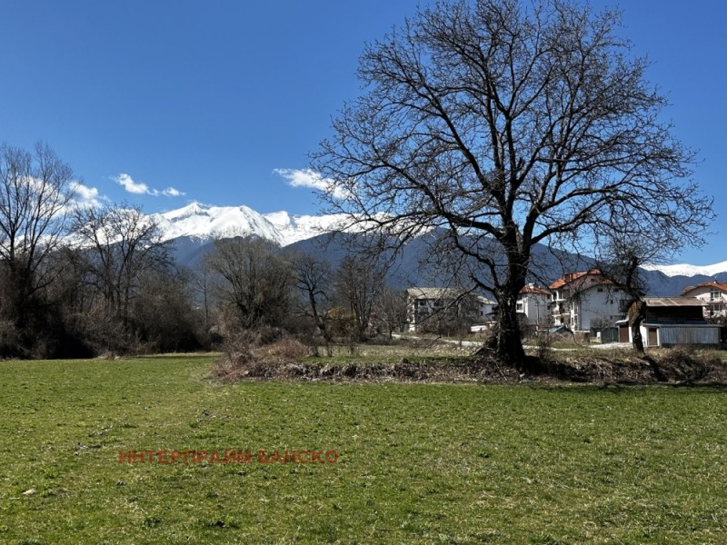 À vendre  Parcelle région Blagoevgrad , Bansko , 2982 m² | 20003526 - image [6]