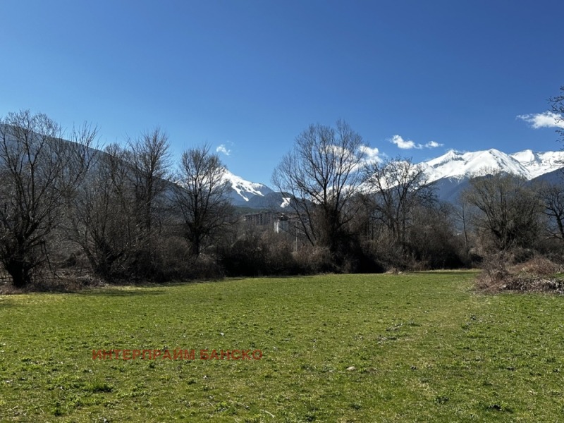 À vendre  Parcelle région Blagoevgrad , Bansko , 2982 m² | 20003526 - image [7]