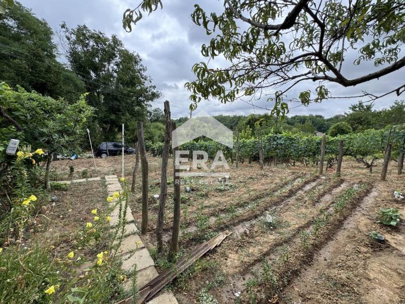 Продава  Парцел област Силистра , с. Калипетрово , 1200 кв.м | 49784461 - изображение [4]