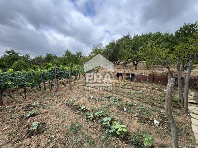 Продава  Парцел област Силистра , с. Калипетрово , 1200 кв.м | 49784461 - изображение [5]
