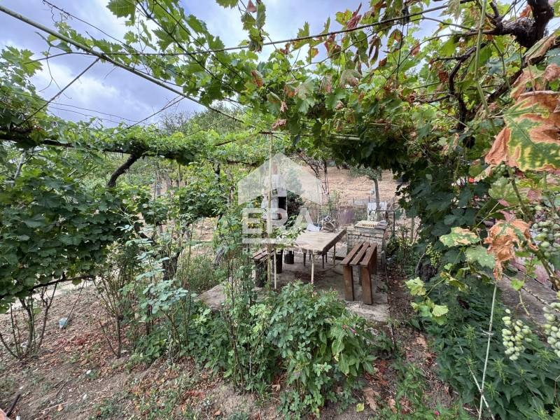 Продава  Парцел област Силистра , с. Калипетрово , 1200 кв.м | 49784461 - изображение [6]