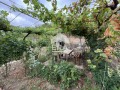 Продава ПАРЦЕЛ, област Силистра, с. Калипетрово • 20708 € • 89082998 — Holmes.bg