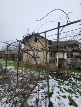 ����� ������� ����,�. ���������, ������ ������