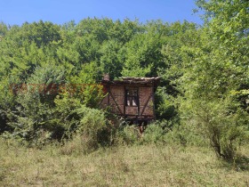 ������ ������� ������