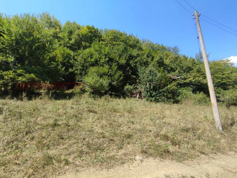 Продава ПАРЦЕЛ, с. Огоя, област София област, снимка 4 - Парцели - 53436724