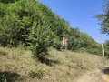 Продава ПАРЦЕЛ, с. Огоя, област София област, снимка 3