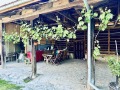 Продава КЪЩА, област Велико Търново, с. Пчелище • 219500 € / 429304.68 лв. • 50528254 5