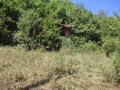 Продава ПАРЦЕЛ, с. Огоя, област София област, снимка 2