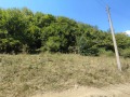 Продава ПАРЦЕЛ, с. Огоя, област София област, снимка 4